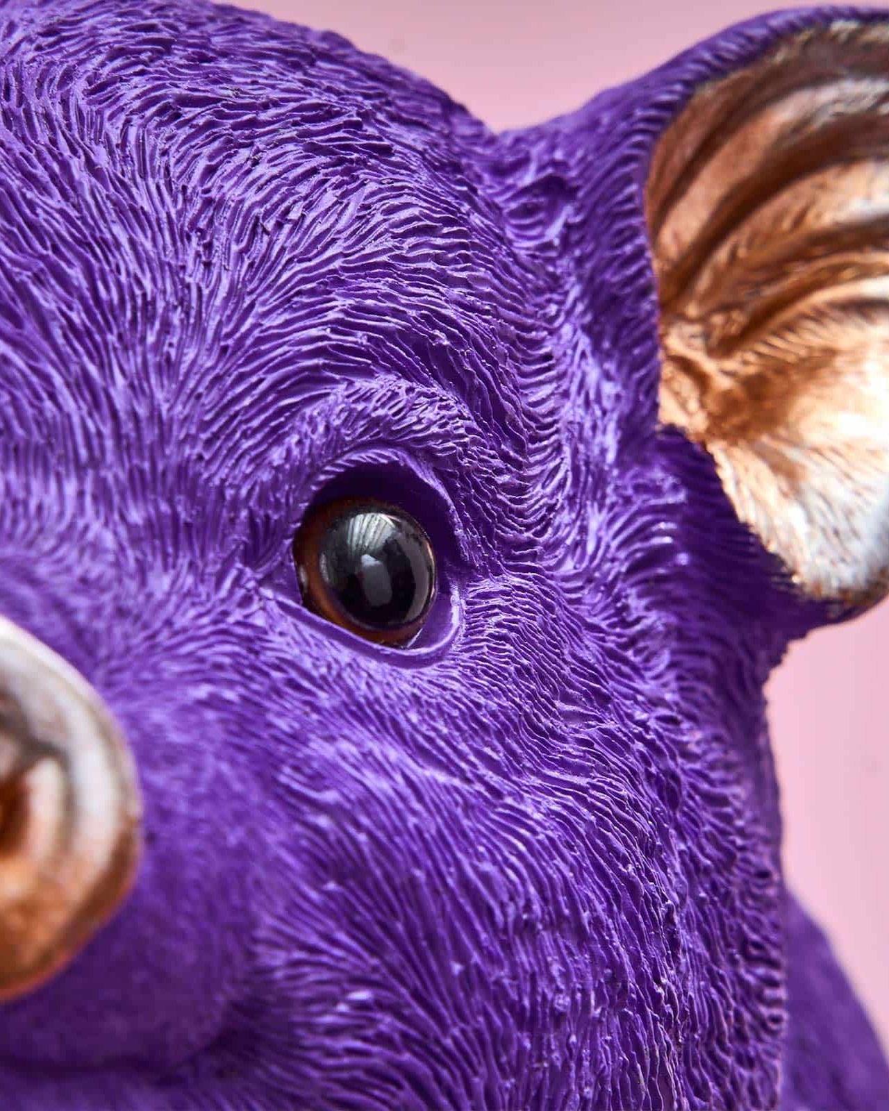 Royal Oink Piggy Bank