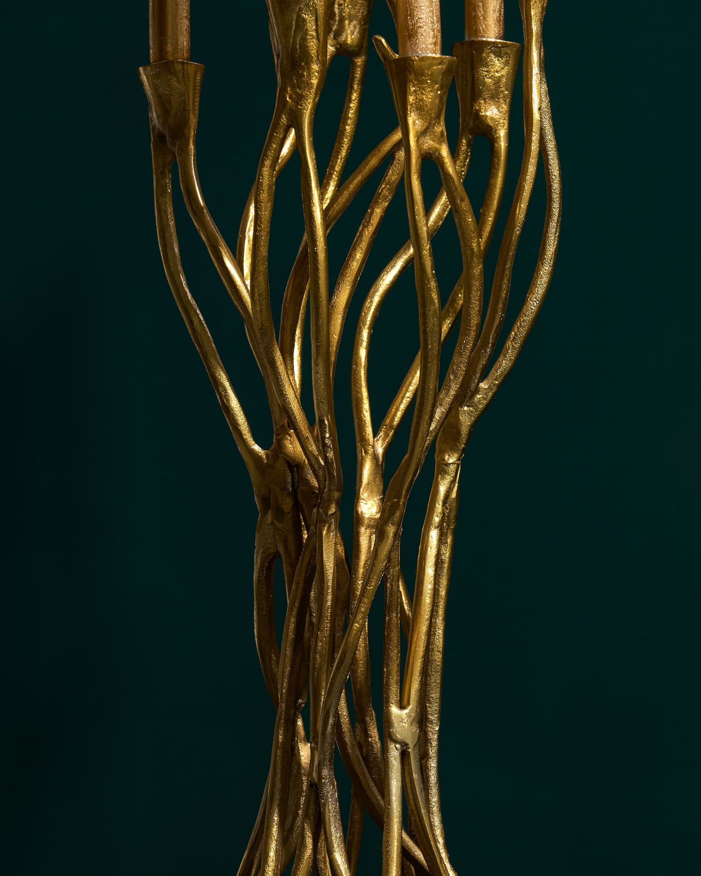 Rising roots candle holder