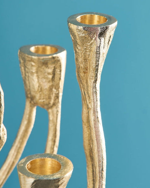 Rising roots candle holder