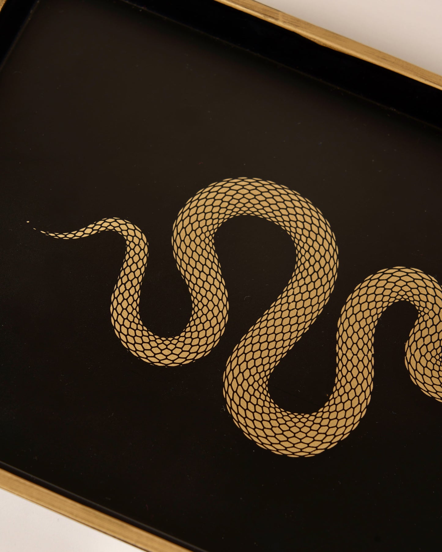Tray Serpenti